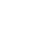 logo100